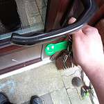 unterschätztes federvieh oder was auch immer...:)