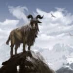 Attracted by Goats